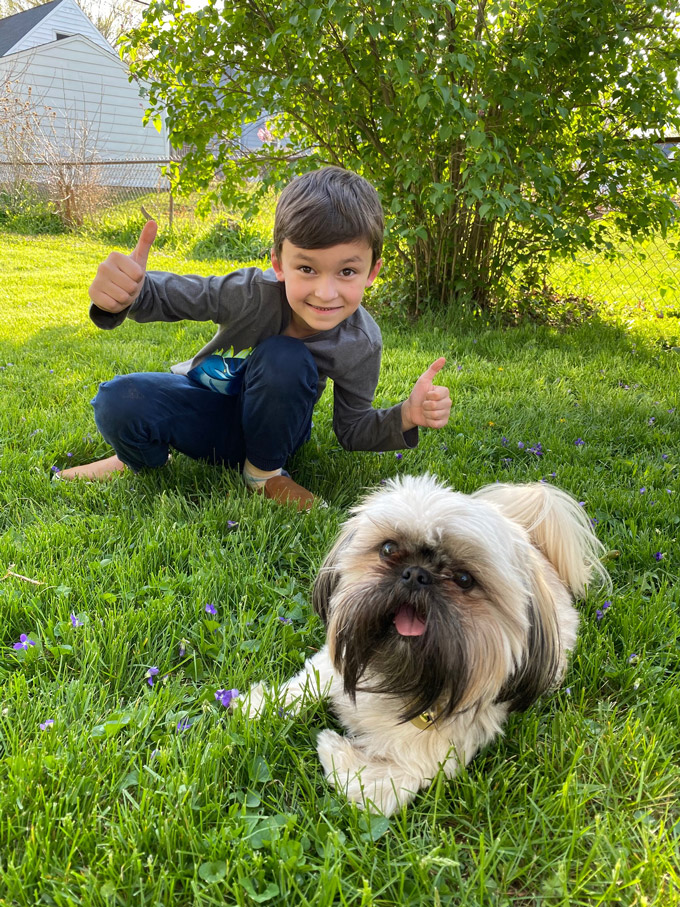 Cortney Robbins's Shih Tzu, Gryffin, relaxing in the grass with her son