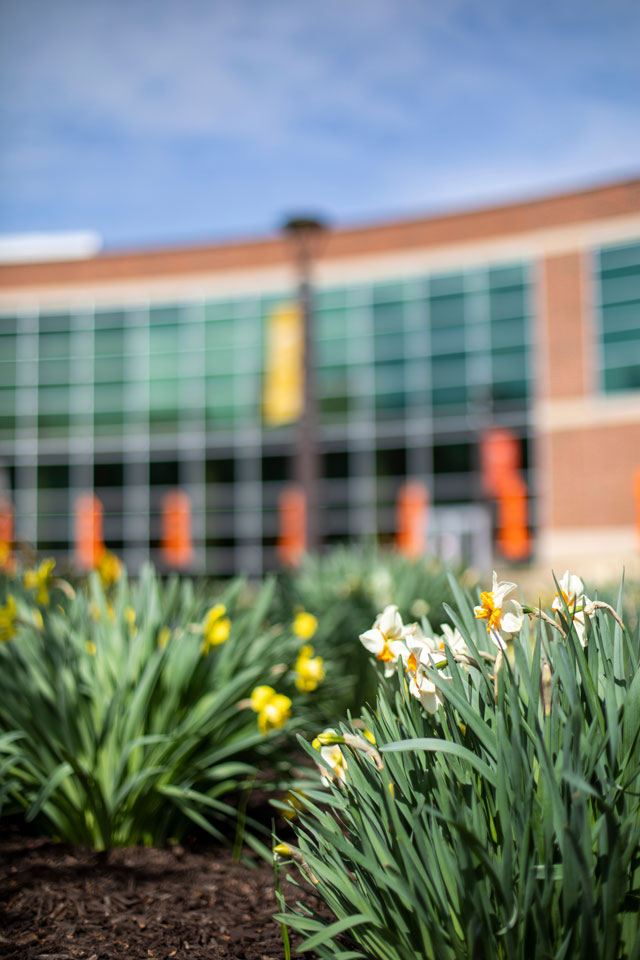 Spring flowers on campus